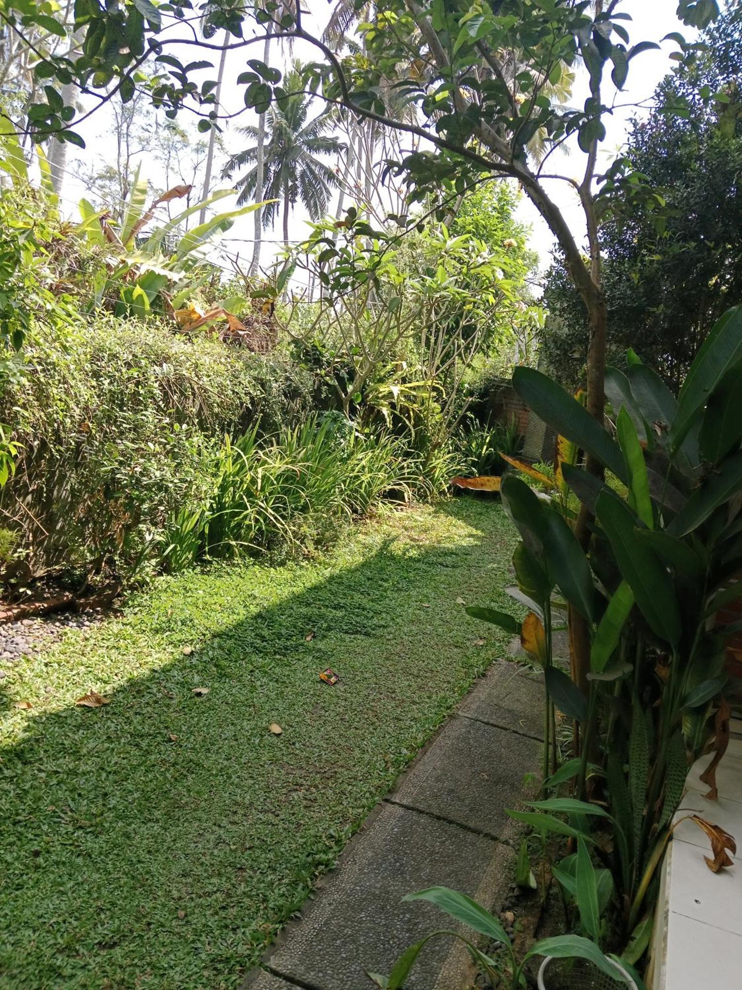 Hotel Sunrise Coconut House Ubud Esterno foto