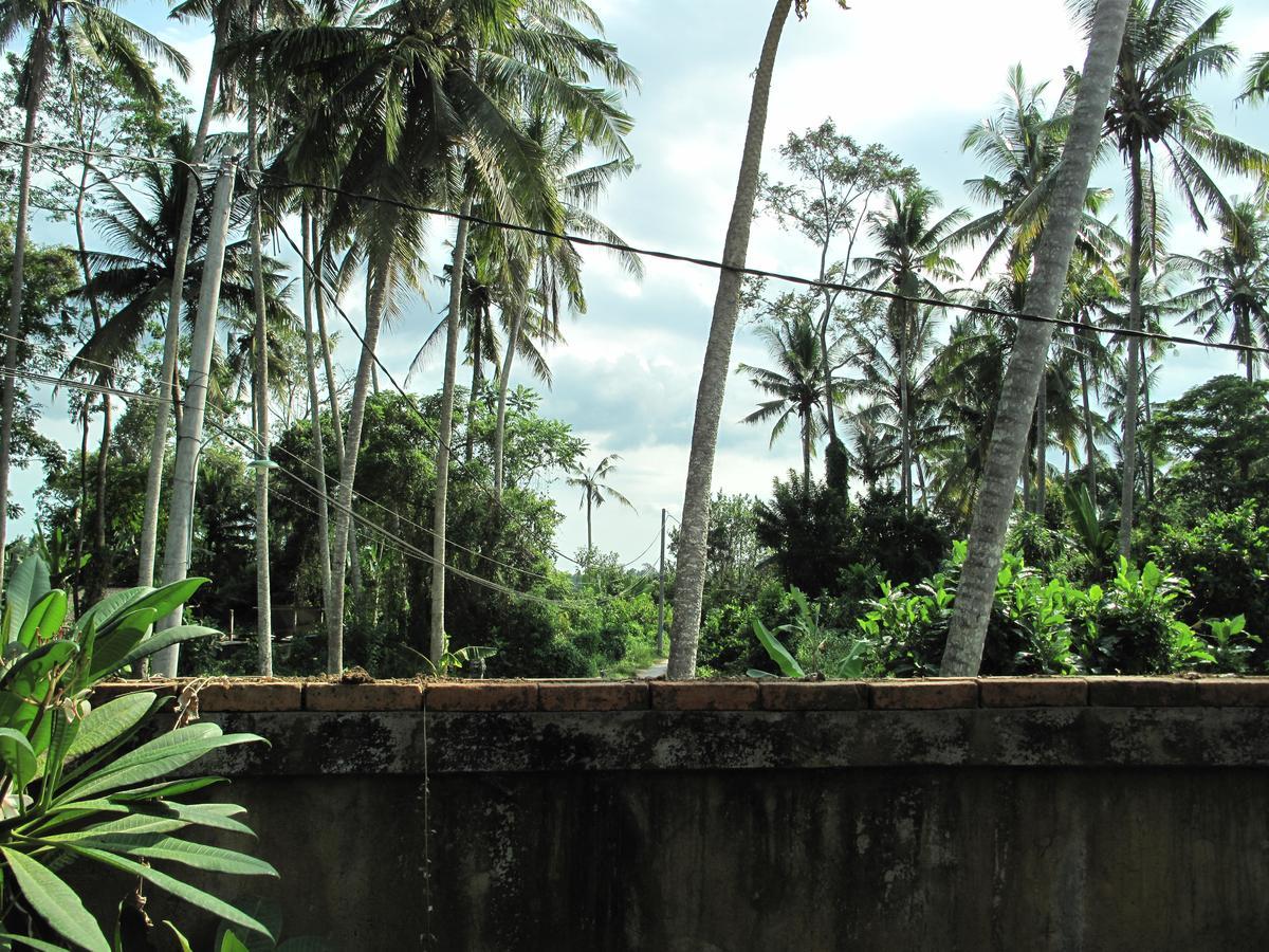 Hotel Sunrise Coconut House Ubud Esterno foto